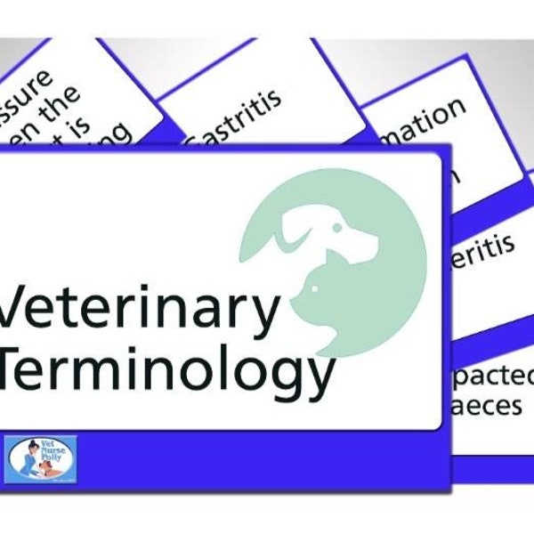 Veterinary Nursing Veterinary Terminology Flash Cards - Bumper pack!