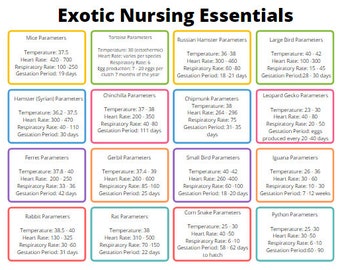 Exotic Nursing Essentials Poster - A4