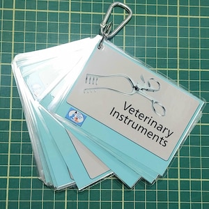 Veterinary Nursing Instruments Flash Cards