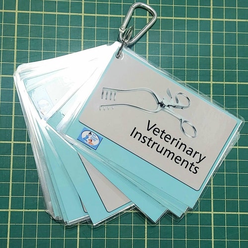 Veterinary Nurse Revision Flash Cards Radiography Etsy UK