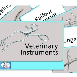 veterinary surgical instruments pictures and names pdf