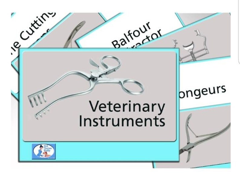 Veterinary Nursing Instruments Flash Cards Etsy UK