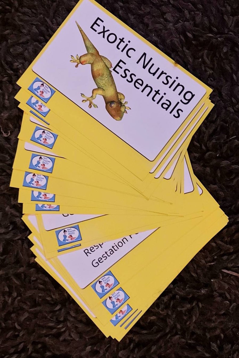 Veterinary Nursing Flash Cards Full Set of 9 & Free Pocket Etsy
