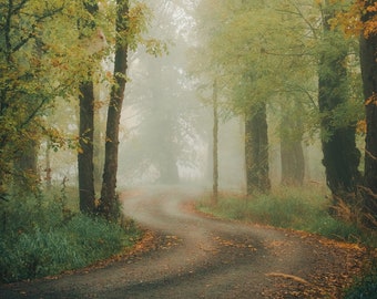 Ridgefield National Wildlife Refuge Foggy Dirt Road - Clark County, Washington