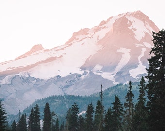 Mt. Hood, Mt. Hood National Forest