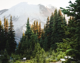 Mt. Rainier, Sunrise Picnic Area, Sunrise Washington