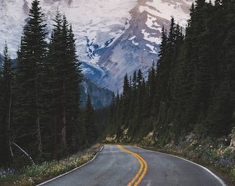Mt. Rainier National Park, Sunrise Washington, Sunrise Point Lookout