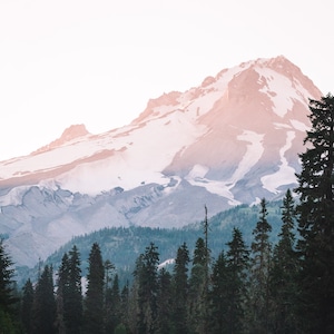 May include: A winding paved road leads through a forest of evergreen trees towards a snow-capped mountain peak in the distance. The sky is a soft pink and blue.