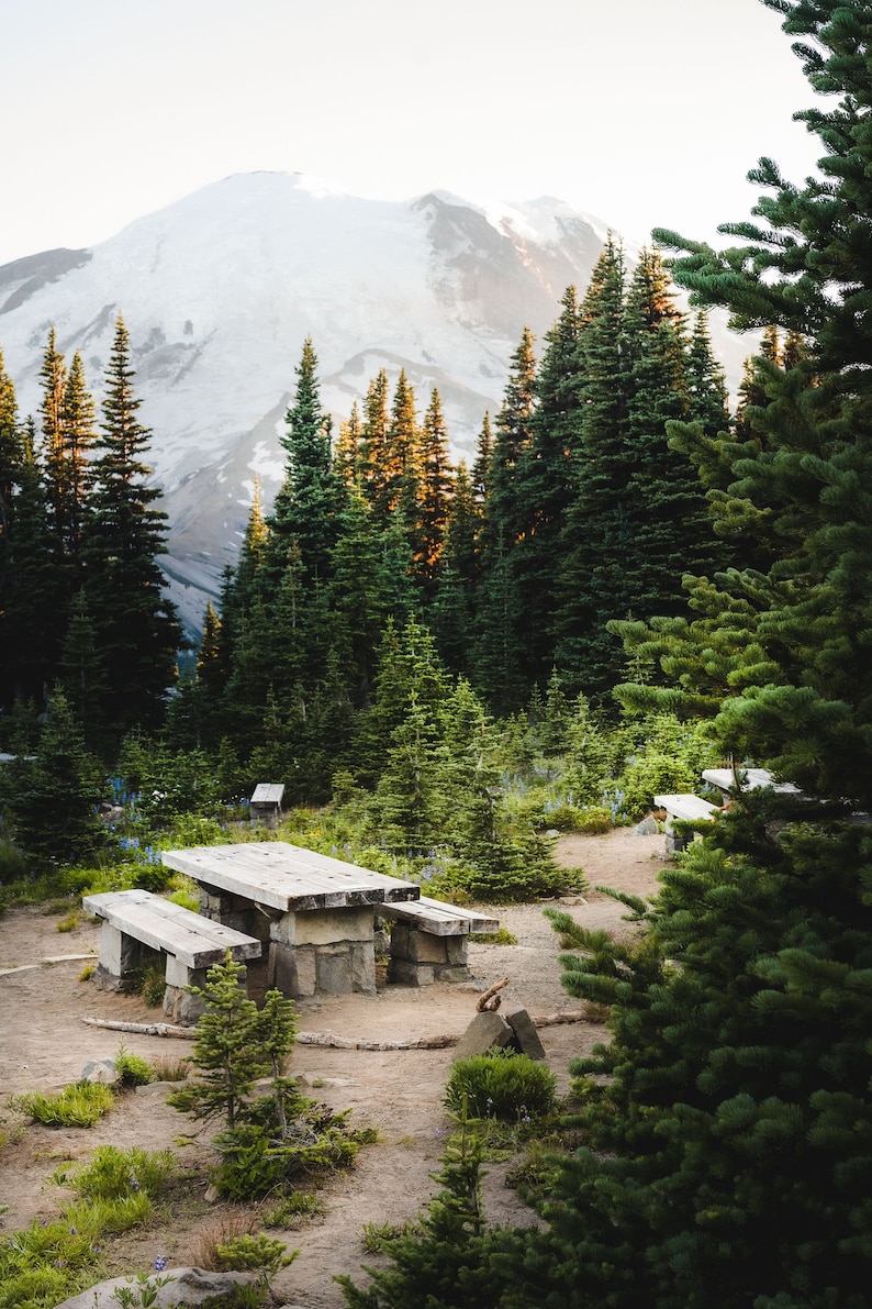 May include: A wooden picnic table with two benches sits in a clearing in a forest. The table is made of rough-hewn wood and has a natural finish. The benches are also made of wood and have a natural finish. The table and benches are surrounded by tall evergreen trees. In the background, a snow-capped mountain peak rises above the trees.