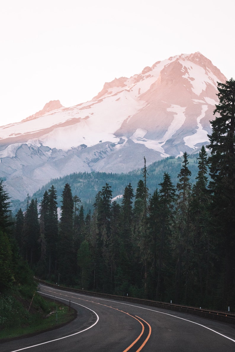 May include: A winding paved road leads through a forest of evergreen trees towards a snow-capped mountain peak in the distance. The sky is a soft pink and blue.