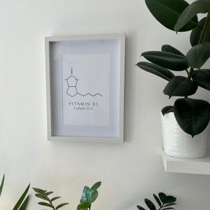 Pu&ograve; includere: Una stampa incorniciata bianca con un'illustrazione in bianco e nero della struttura chimica della vitamina B7, nota anche come biotina. La stampa include il testo "VITAMIN B7" e la formula chimica "C10H16N2O3S".