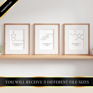 Pu&ograve; includere: Tre stampe incorniciate di strutture chimiche per la vitamina B7, la vitamina D e la vitamina C. Ogni stampa include il nome della vitamina e la sua formula chimica.