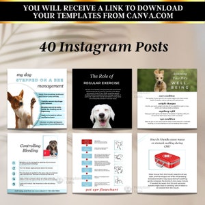 May include: A set of six colourful Instagram post templates for pet owners. The templates cover topics like bee stings, controlling bleeding, regular exercise, assessing your pet's well-being, and CPR. Each template features a cartoon dog and text with helpful tips.