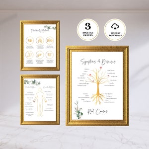 Puede incluir: Tres carteles digitales imprimibles sobre medicina funcional. El primer cartel muestra un diagrama del cuerpo humano con los órganos resaltados. El segundo cartel muestra un diagrama del cuerpo humano con los sistemas resaltados. El tercer cartel muestra un árbol con raíces y ramas. Las ramas están etiquetadas con síntomas y enfermedades, y las raíces están etiquetadas con causas raíz.