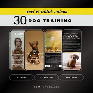 Hundträning i sociala medier, flygblad för hundtränare, valpträning, Instagram-rullar, TikTok-videor, husdjursträning, videor i sociala medier, 30 videor