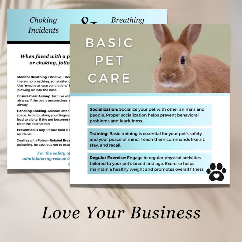 May include: A brown rabbit with pink ears and a white heart on its paw. The text "Basic Pet Care" is in large, bold letters above the rabbit. The text below the rabbit includes tips for socialising, training, and exercising your pet.