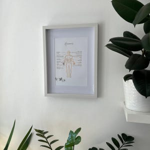 Puede incluir: Una impresi&oacute;n enmarcada en blanco con la palabra "Hormonas" en la parte superior. Un dibujo lineal de un cuerpo humano con etiquetas para diferentes gl&aacute;ndulas y hormonas.