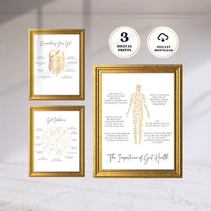 Pósteres imprimibles sobre medicina funcional, curación intestinal, medicina holística, arte holístico, coach de nutrición, salud intestinal, juego de 3 impresiones