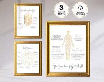 May include: Three printable illustrations about gut health. The first illustration shows a human digestive system with the text "Nourishing Your Gut". The second illustration shows a circle with the text "Gut Imbalance" and various icons representing gut health. The third illustration shows a human silhouette with the text "The Importance of Gut Health" and information about the gut microbiome.