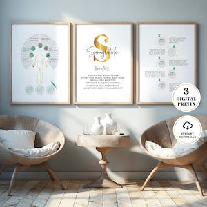 May include: Three digital prints with information about Semaglutide benefits. The prints are framed in a light wood frame and are hanging on a light blue wall. The prints are in a living room setting with two chairs and a table with a vase of flowers.