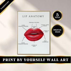 Lip Anatomy, Lip Injector, Lip Wall Art, Lip Print, Lip Enhancement, Lip Decor, Printable Poster, Lip Artwork Print, 5 sizes, Digital Print