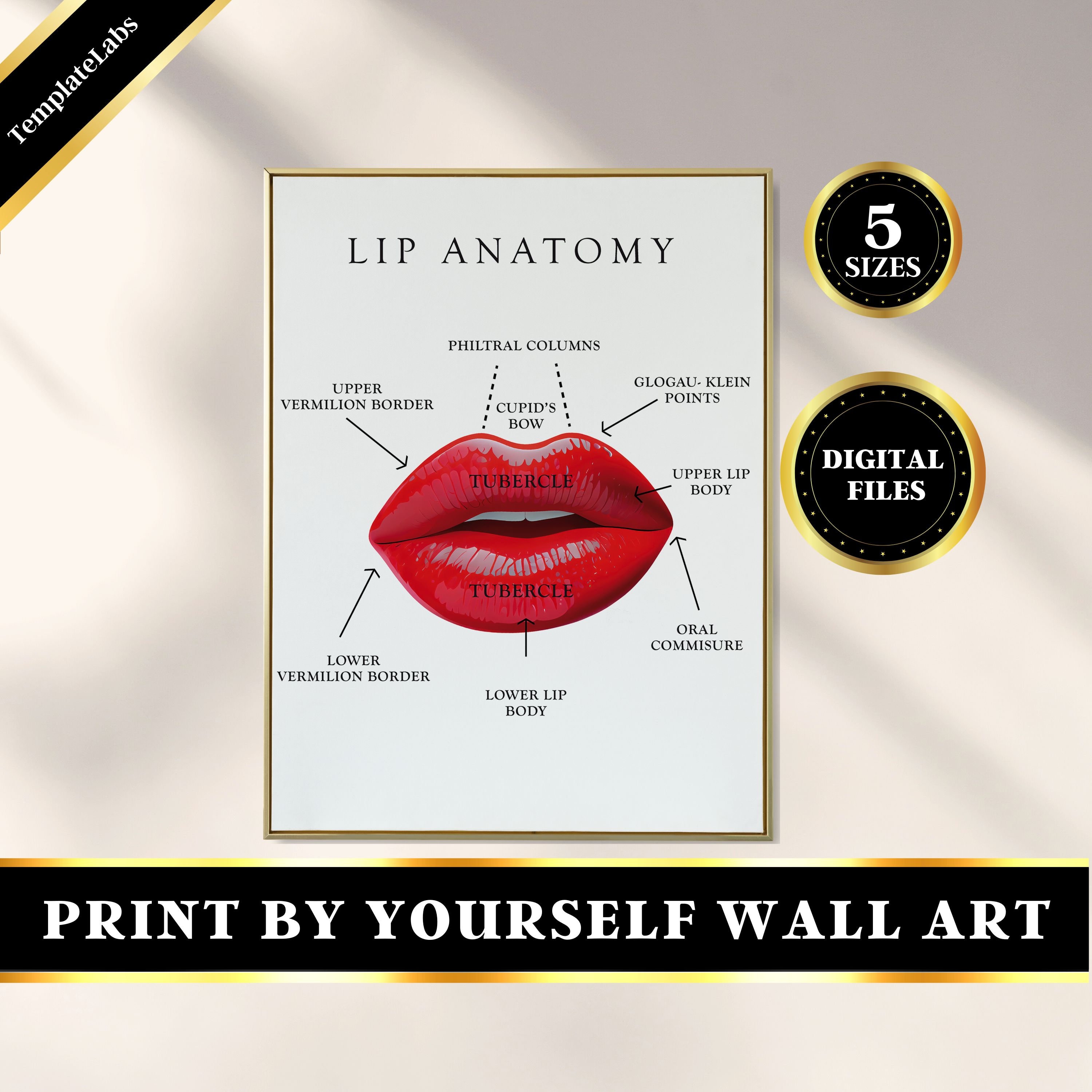 Lip Anatomy Lip Injector Lip Wall Art Lip Print Lip Etsy