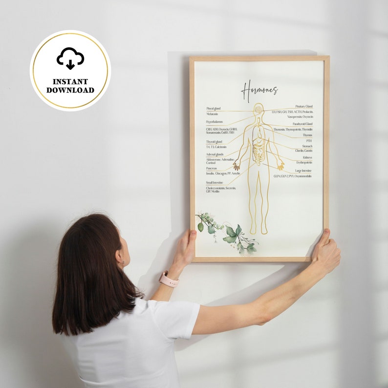 Puede incluir: Un gr&aacute;fico imprimible con un contorno dorado de un cuerpo humano, que muestra la ubicaci&oacute;n de diferentes gl&aacute;ndulas y las hormonas que producen. El gr&aacute;fico se titula "Hormonas" y tiene un dise&ntilde;o floral en la esquina inferior derecha.