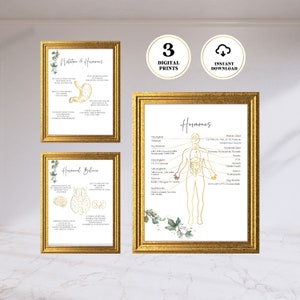Pósteres imprimibles sobre medicina funcional, salud hormonal, medicina holística, arte holístico, coach de nutrición, equilibrio hormonal, juego de 3 impresiones