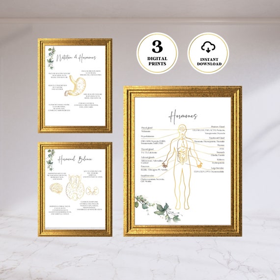 Functional Medicine Art, Hormone Health Printable Posters, Holistic Medicine, Holistic Art, Hormone Balance, Set of 3 Print