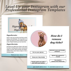 May include: Pink and white Instagram template with a cartoon dog wearing a hat. The text reads "Ticks on Dogs" and "How do I remove dog ticks?" with a list of steps to remove a tick from a dog. The text also includes "your email address here!" and "emailaddress@email.com".