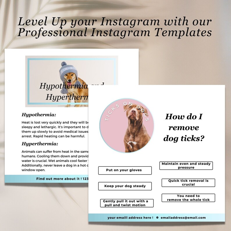 May include: Pink and white Instagram template with a cartoon dog wearing a hat. The text reads "Ticks on Dogs" and "How do I remove dog ticks?" with a list of steps to remove a tick from a dog. The text also includes "your email address here!" and "emailaddress@email.com".