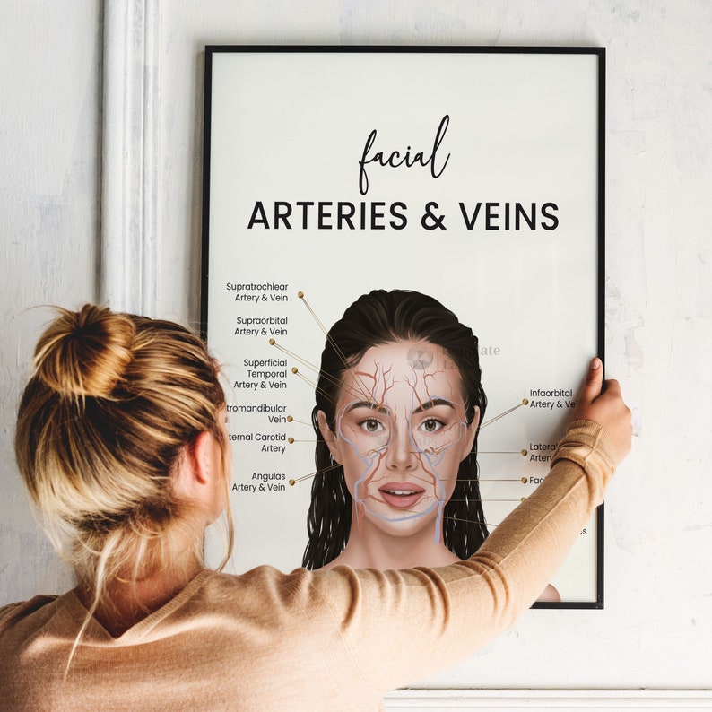 Vein Art, Facial Arteries for Injectors, Face Anatomy Art, Facial