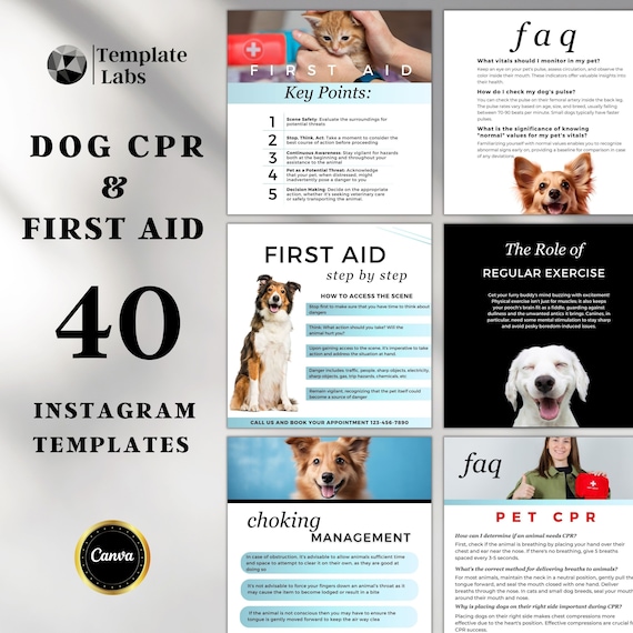 Dog First Aid Instagram Posts, Pet First Aid Canva Templates, Pet Safety, CPR and First Aid, Editable Content, Animal Health, DIY Templates