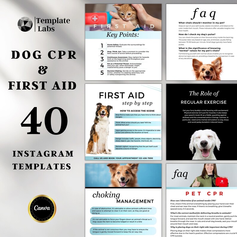 May include: A set of 40 Instagram templates for dog CPR and first aid. The templates feature illustrations of dogs and text with key points, steps, and information about dog CPR and first aid. The templates are designed to be informative and engaging for pet owners.