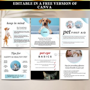May include: A set of six colourful Instagram post templates with tips for pet first aid. The templates feature illustrations of dogs and cats, and include text such as "Keep in mind", "Tips for Happy & Healthy Pet", "Pet CPR Basics", and "Tips for Providing Effective Rescue Breaths to Your Pet".