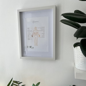 Puede incluir: Una impresi&oacute;n enmarcada con fondo blanco y un contorno dorado de un cuerpo humano con diferentes &oacute;rganos etiquetados. El t&iacute;tulo de la impresi&oacute;n es "Hormonas".