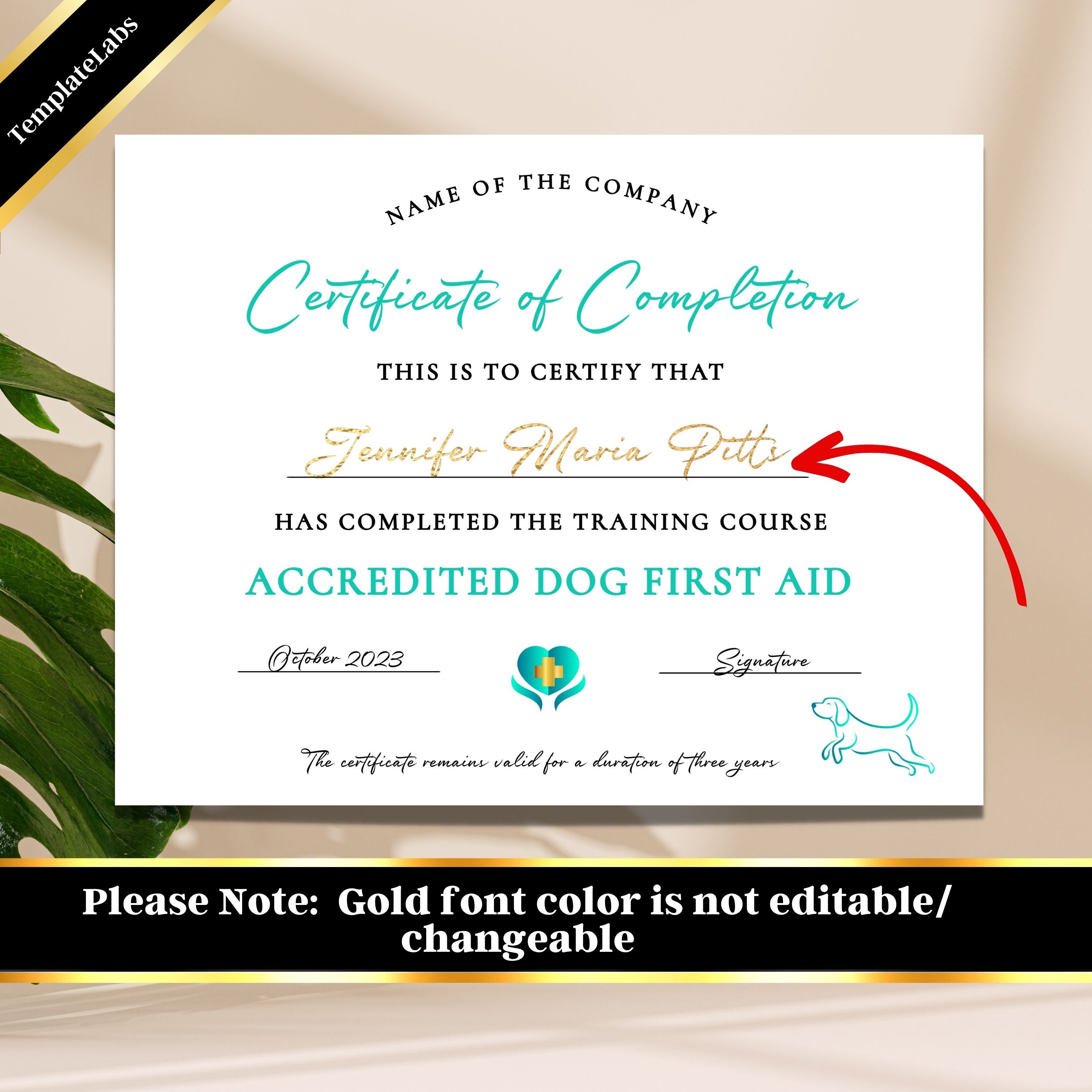 Dog First Aid Printable Certificate, Puppy First Aid, Certificate of Completion Template, CPR ...