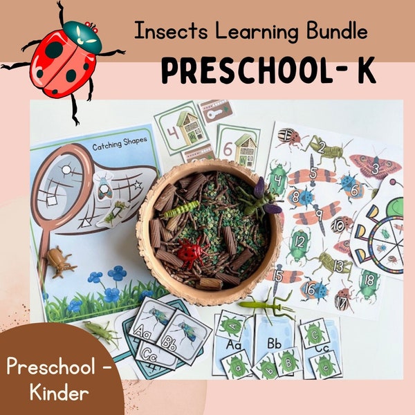 Insect PRESCHOOL Learning Pack, Spring Preschool Activities, Homeschool Unit Printables, Toddler Spring Learning Activities