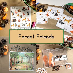 May include: A set of educational games for children featuring forest animals. The games include an "I Spy" game, a size comparison game, a letter matching game, and a counting game. The games are designed to help children learn about forest animals, colours, shapes, and numbers.