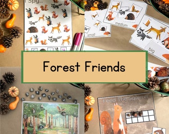 Forest Friends Preschool Learning Pack, Alphabet Activities, Montessori Printables, Numbers and Counting, Homeschool Printables
