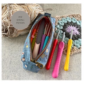 mini zip Glasses case