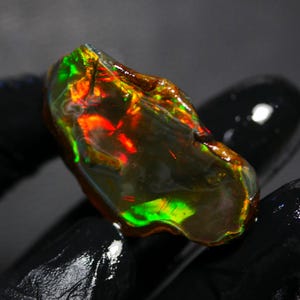 Może przedstawiać: Surowy, nieoszlifowany kamień szlachetny opal boulder z ciemną, półprzezroczystą brązową podstawą, charakteryzujący się żywymi, opalizującymi błyskami neonowej zieleni i ognistego pomarańczu na nieregularnej, naturalnie teksturowanej powierzchni.