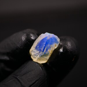 May include: A raw, uncut gemstone with a striking blue interior and a translucent, off-white exterior. The stone is held against a dark background, highlighting its natural form and color variations. The gem's rough texture and unique color make it a captivating mineral specimen.