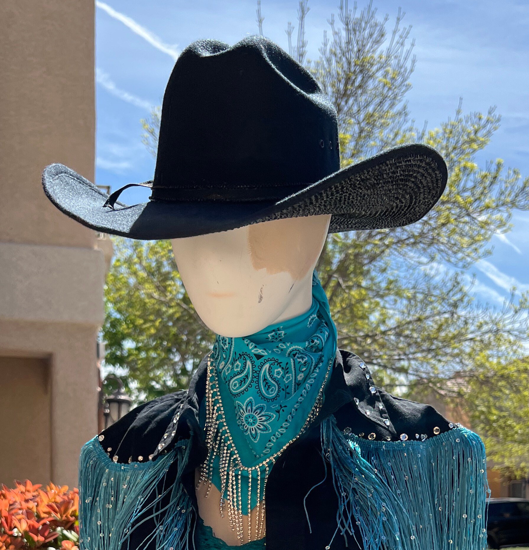 The “cowboy Killer” Rhinestoned Underbrim Back Cowboy Hat (2  display picture 3