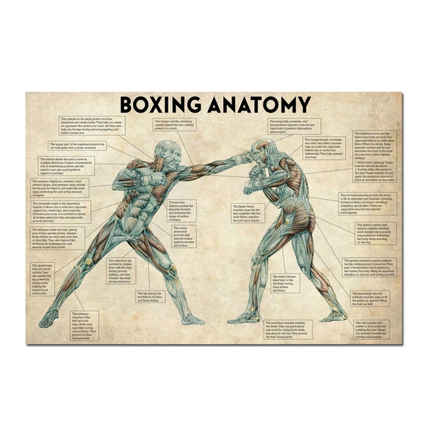 Vintage Boxing Body Anatomy Posters and Prints Wall Art Canvas Painting Boxing Lover Gift for Gym Room Cuadros Home Decoration