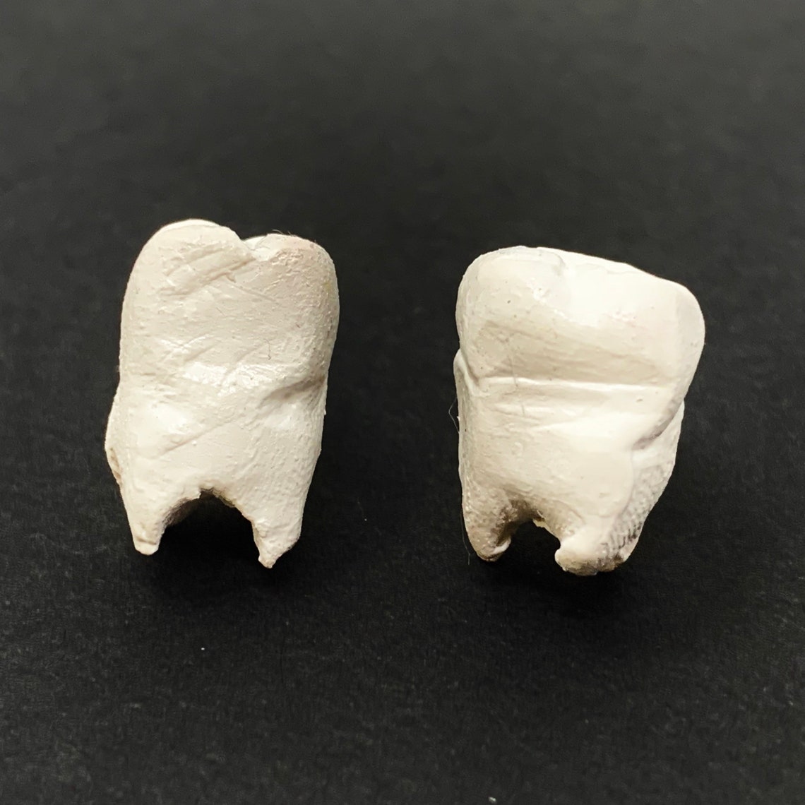 Handmade Polymer Clay Tooth Stud Earrings Etsy
