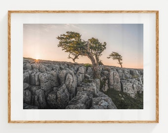 Twistlon Scars Sunrise, Yorkshire Dales, England, UK | Unframed Landscape Photography Wall Art Print | Nature Gifts | Modern Home Decor