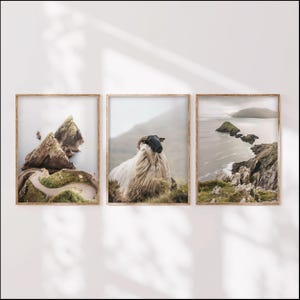Juego de 3 impresiones de arte mural irlandés / Fotografía de la ruta costera del Atlántico / Decoración de la costa de Irlanda / Muelle de Dunquin y Dunmore Head / Idea de regalo