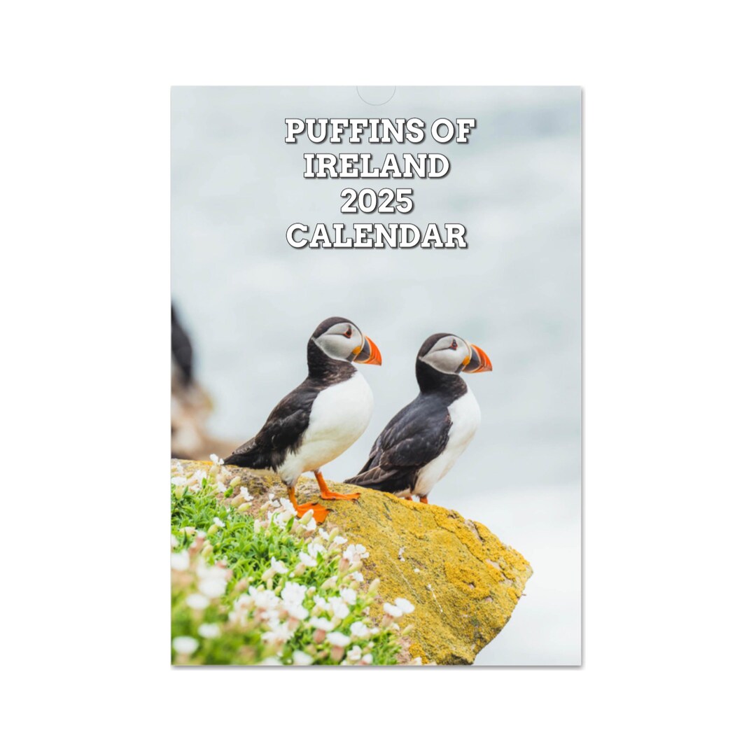 2024-puffin-a4-a3-wall-calendar-featuring-stunning-photography-images-of-wild-irish-atlantic-puffins-etsy-singapore