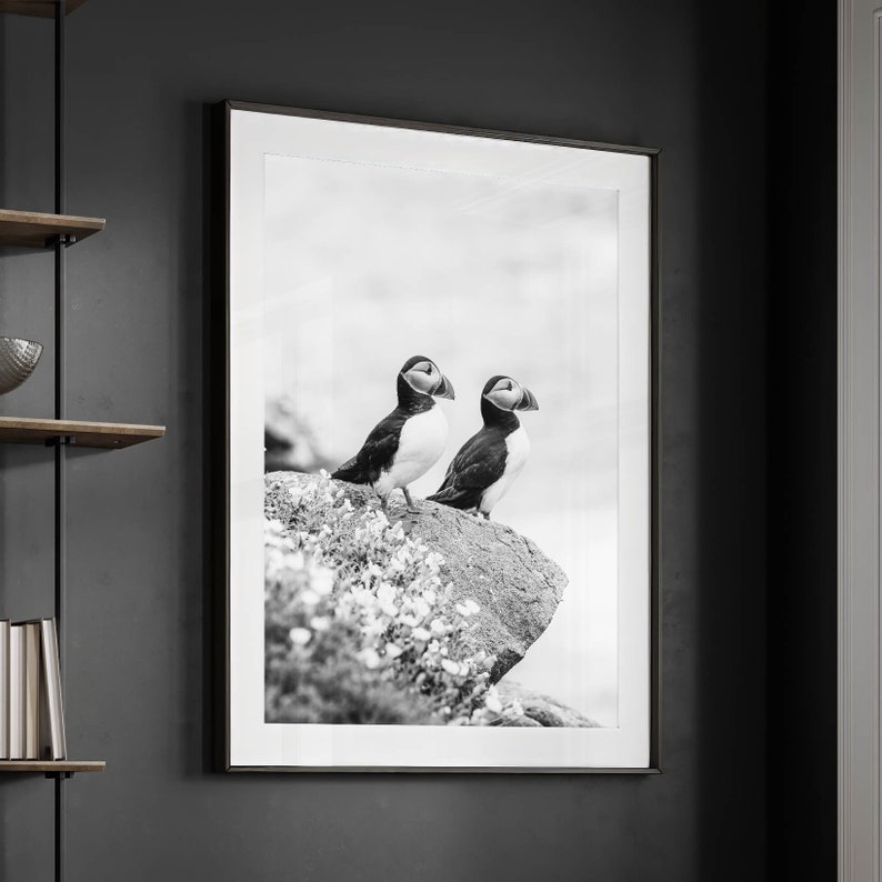 Two Adorable Puffins Perched on Rocky Cliffside Overlooking the Irish Sea: Charming Seabirds in their Natural Habitat